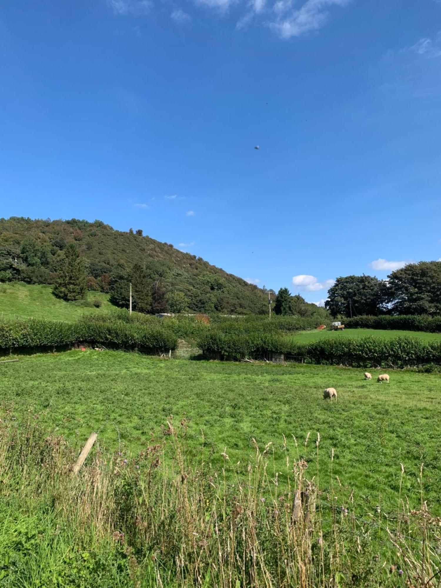Pant-Y-Creolen Leilighet Llanfyllin Eksteriør bilde